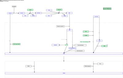 Mapping out the gut microbiota-dependent trimethylamine N-oxide super pathway for systems biology applications